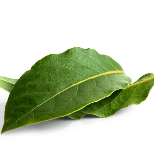 Org Bay Leaf