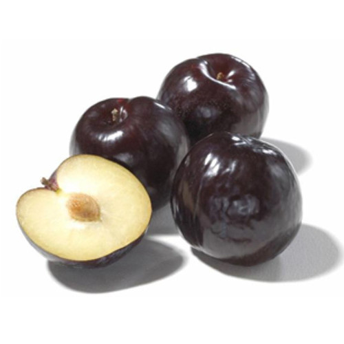 PLUMCOT KINg KONG

