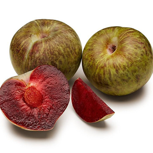 Plumcot Flavor Gator