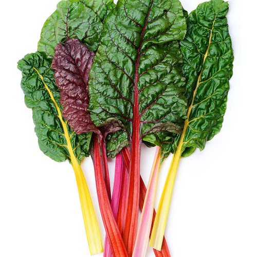 Organic Rainbow Chard Organic Rainbow Chard