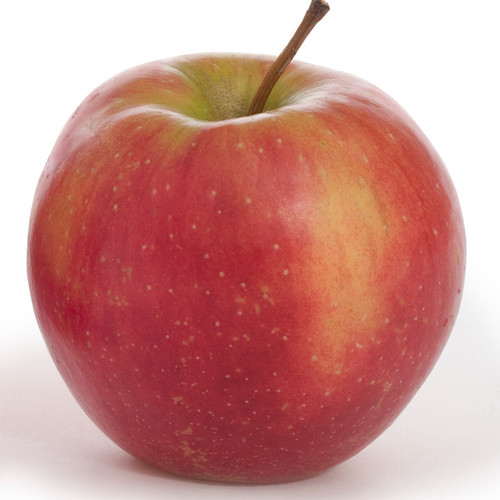 Sweet Tango Apple

