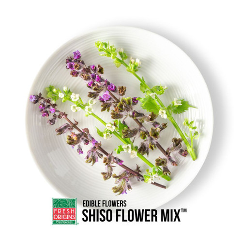 Edible Flower Shiso Mix
