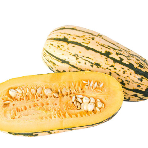 Organic Delicata Squash