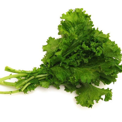 Organic Mustard Green