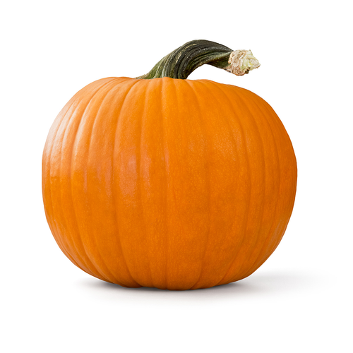 Large Pumpkin
