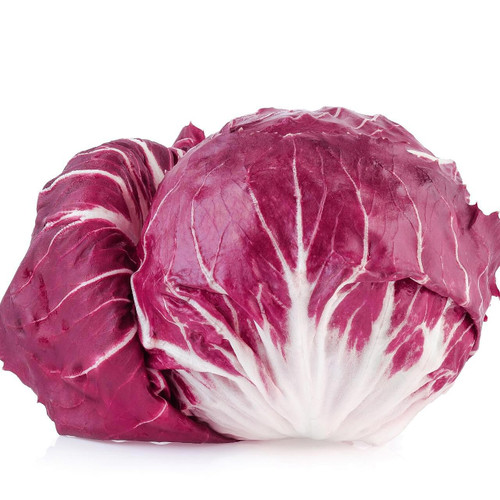 Organic Radicchio Organic Radicchio