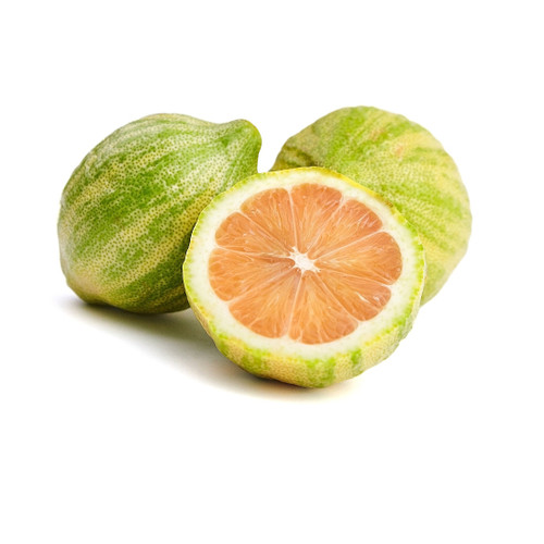 Pink Variegated Lemon 

