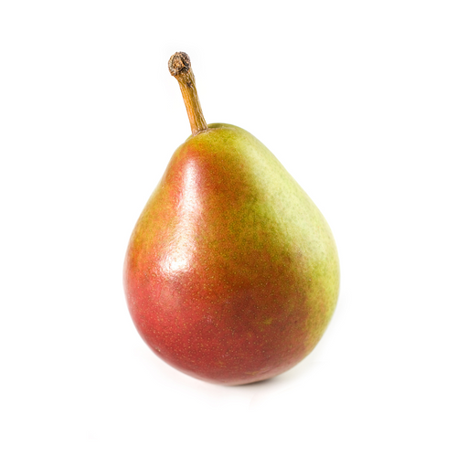 Seckel Pear Seckel Pear