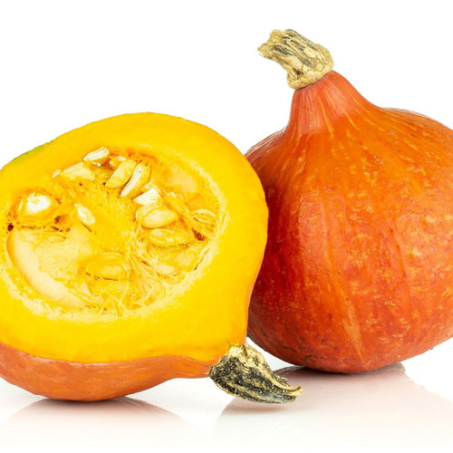 Organic Red Kuri Squash