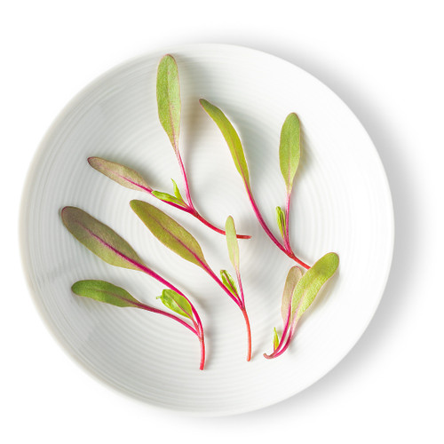 Micro Green Bulls Blood
