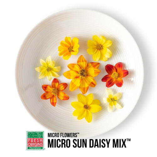 MICRO FLOWER SUN DAISY MIX
