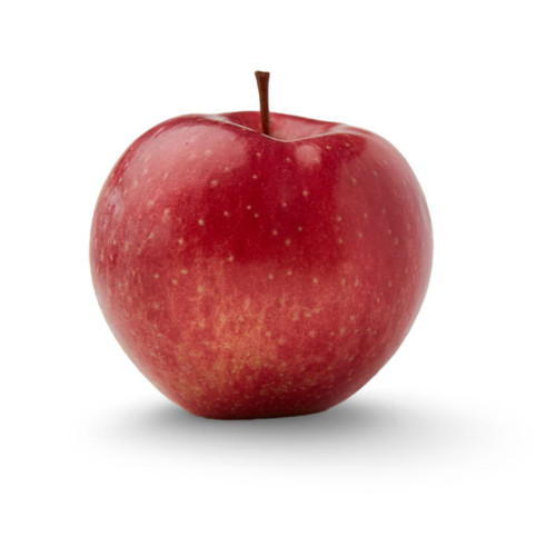 Organic Apple Wild Twist