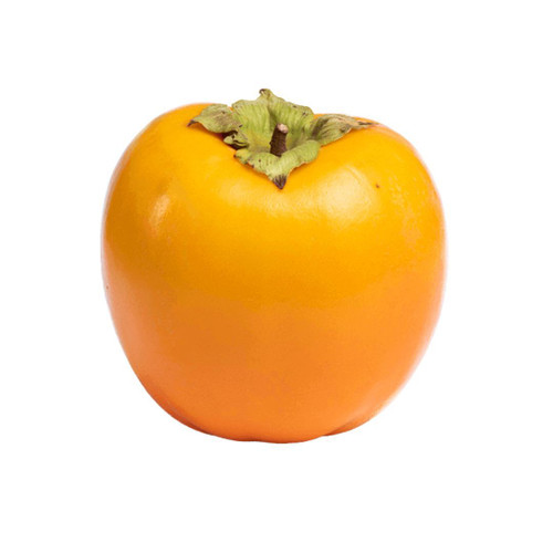 Kaki Persimmon

