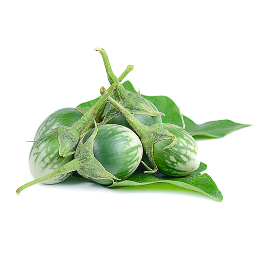 Thai Eggplant
