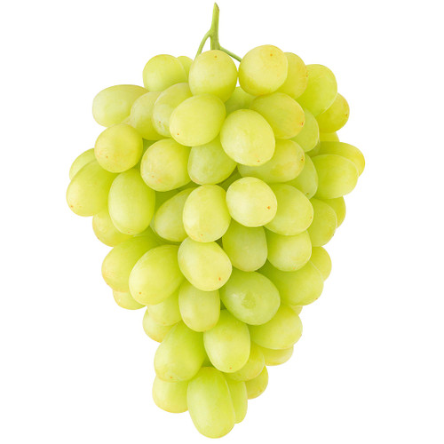 Autumn Crisp XL Green Grape
