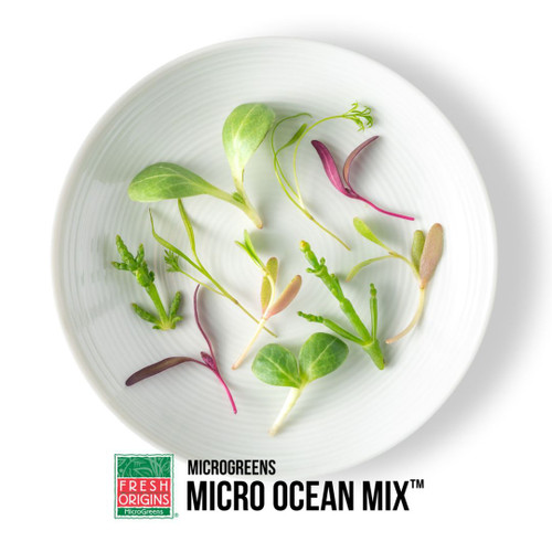 MICRO GREEN OCEAN MIX