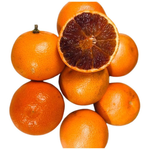 Mandarosa Tangerine