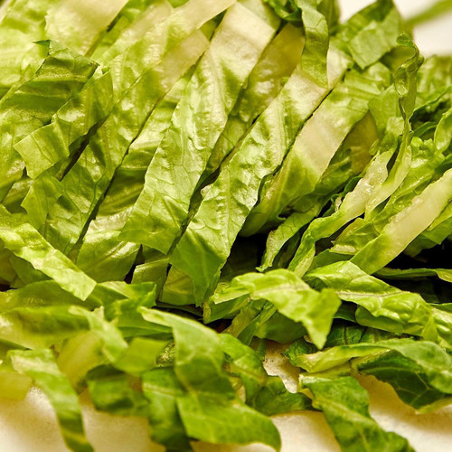 Shredded Romaine Lettuce