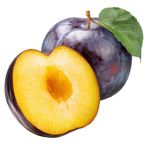 PLUM BALCK GIANT
