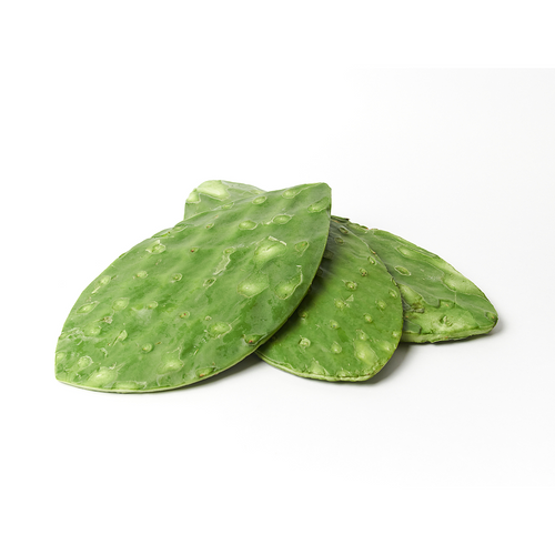 Cleaned Cactus Leaf