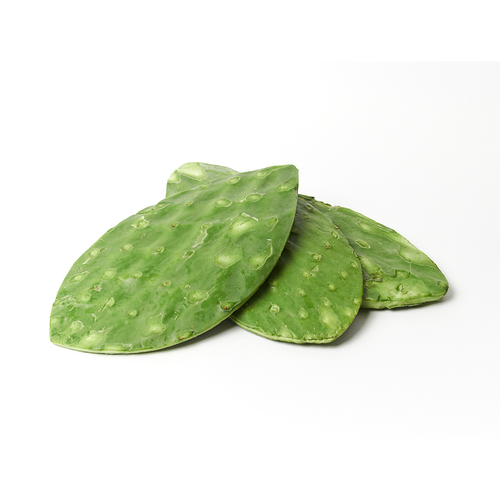Cleaned Cactus Leaf