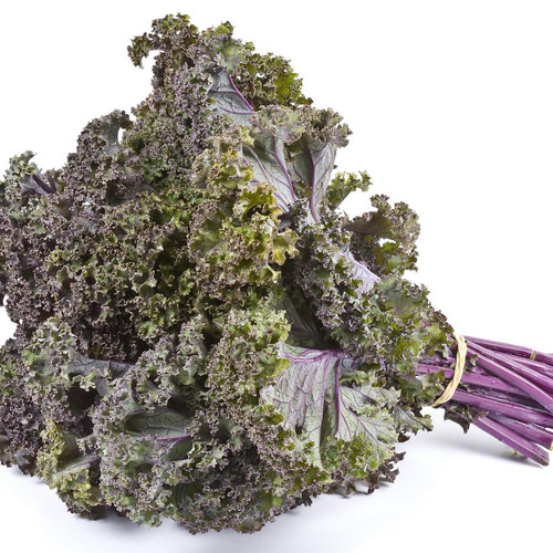 Organic Purple Kale Bunch