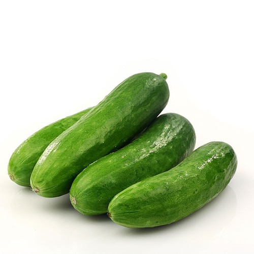 Organic Mini Cucumber 
