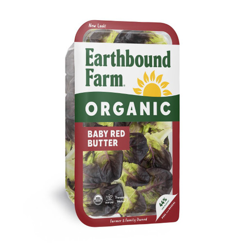Organic Baby Red Butter Lettuce