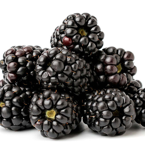 Organic Blackberry
