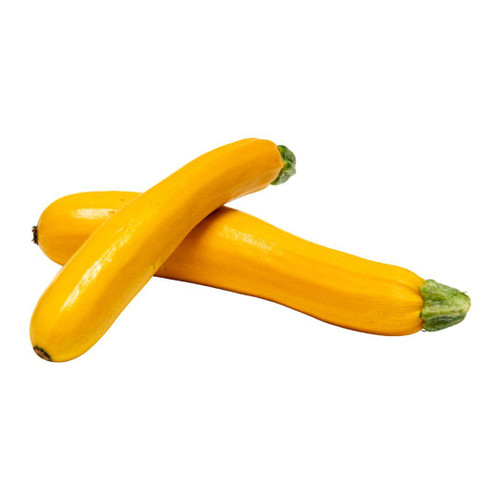 Organic Gold Bar Squash