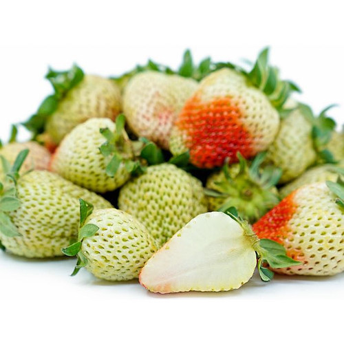 NW Green Strawberry