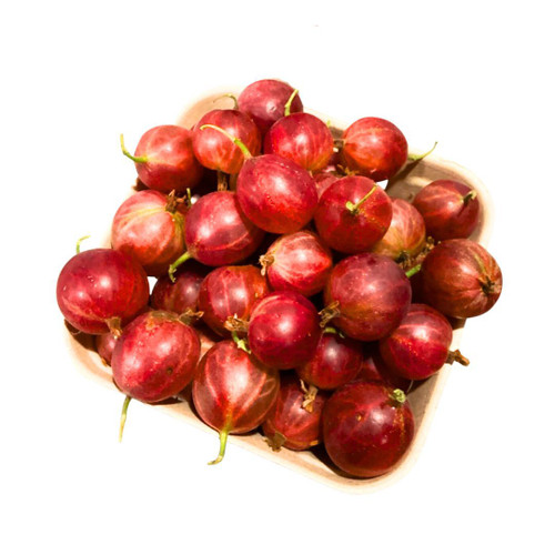 Red Gooseberry

