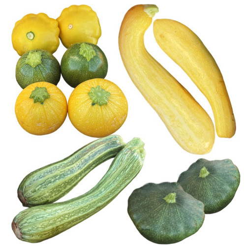 Mixed Summer Squash