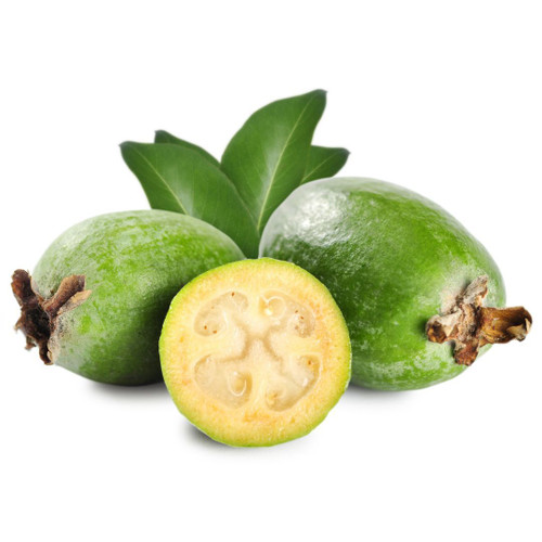 Feijoa