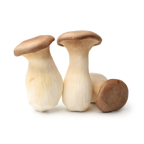 King Trumpet Mushroom