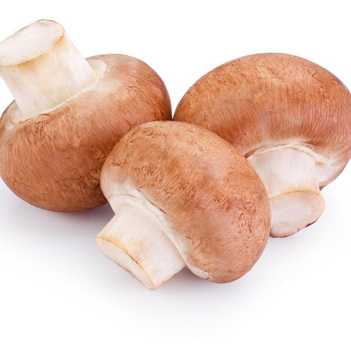Organic Cremini Mushroom Organic Cremini Mushroom