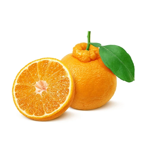 Aussie Deko Tangerine