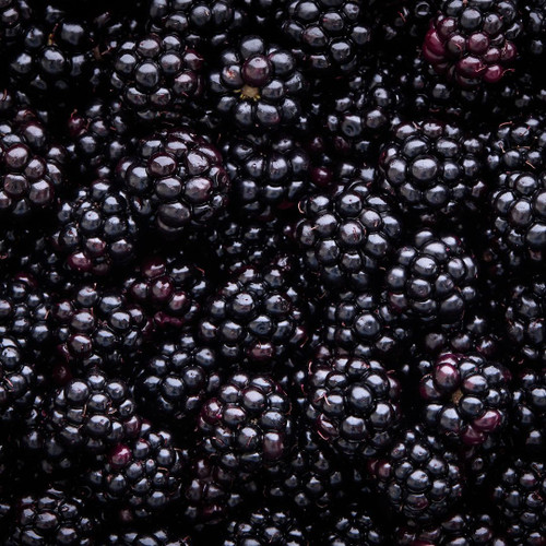 Blackberry