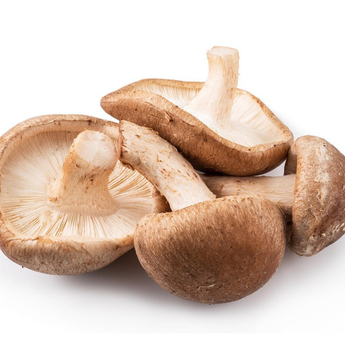 No1 Shiitake Mushroom