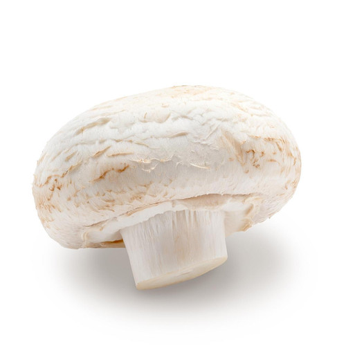 Large White Mushroom