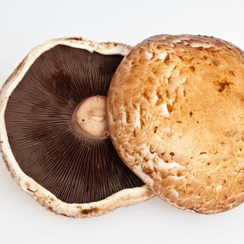 4/5" Portabella Mushroom
