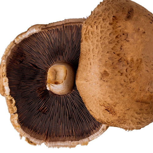 No2 Portabella Mushroom