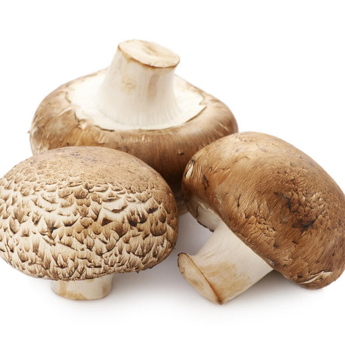 No2 Cremini Mushroom