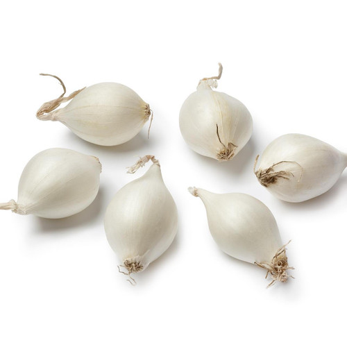 White Pearl Onion