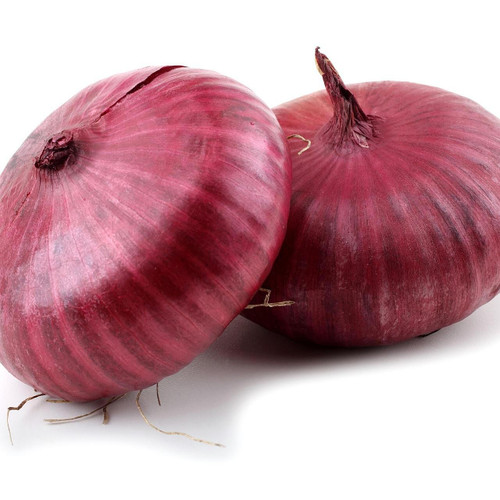 Cipollini Onion