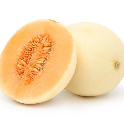 Orange Honeydew Melon