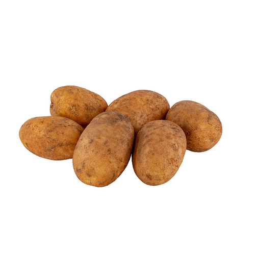 Russet Potato