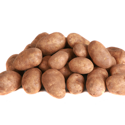 Washington Russet Potato
