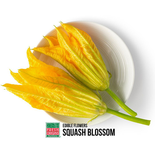 Squash Blossom