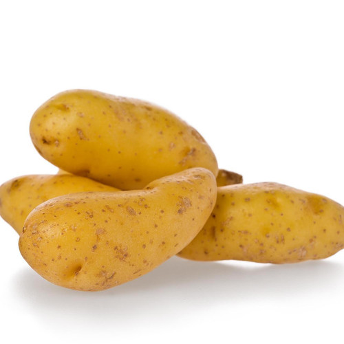 Yellow Fingerling Potato Yellow Fingerling Potato